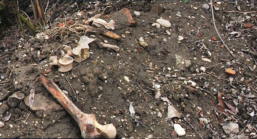 Polícia našla ľudské kosti