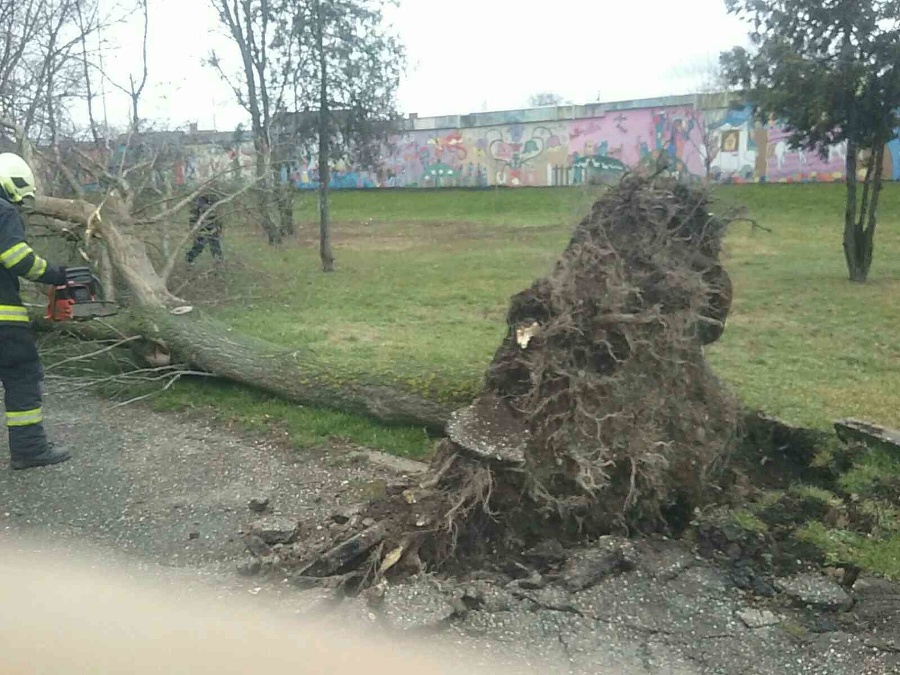 Hasiči zasahovali na mnohých