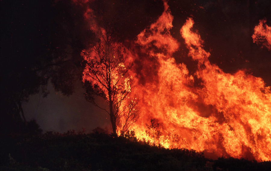 Wild bushfire burning out