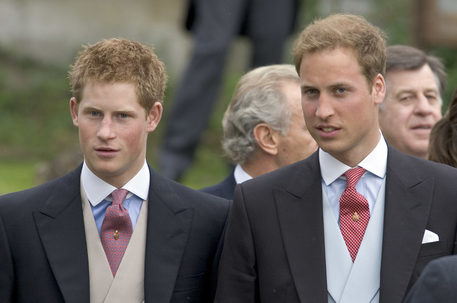 Princovia Harry a William