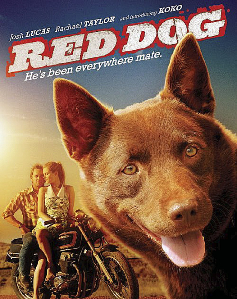 Red dog