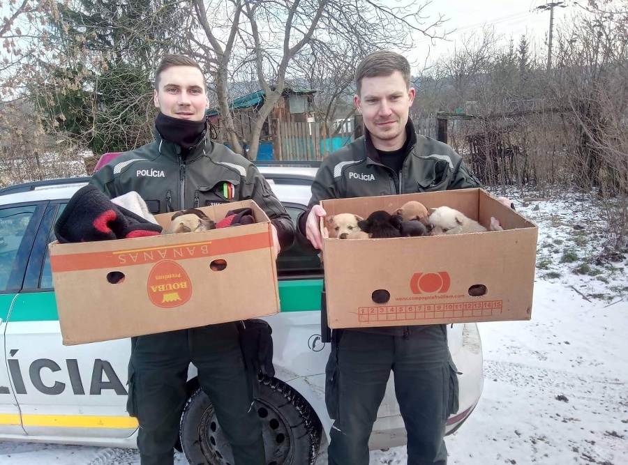 Dvaja policajti s dobrovoľníkmi