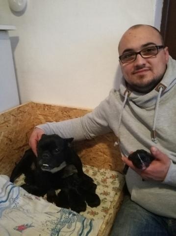 Martin s Leou a 11 šteniatkami, ktoré čoskoro budú mať nových majiteľov.