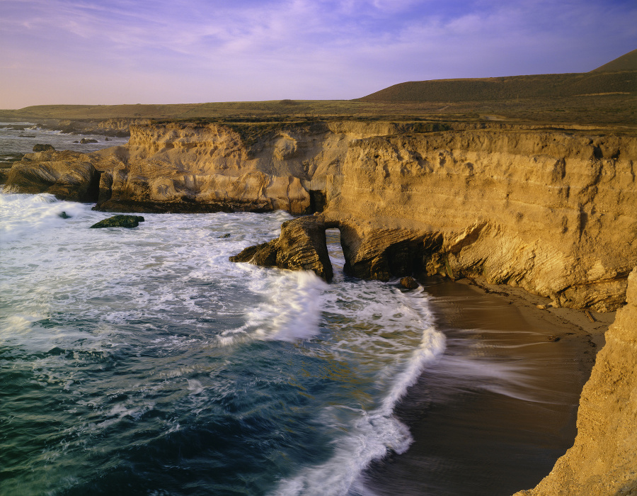 The Pacific Ocean Meet