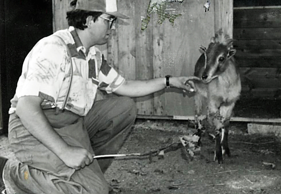 1984: Do zoo nastúpil