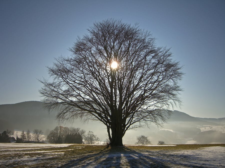 at the Rhoen mountain