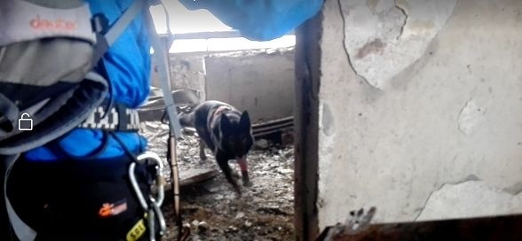 Do vnútorných priestorov objektu mohol vstúpiť len špeciálne vycvičený pes.