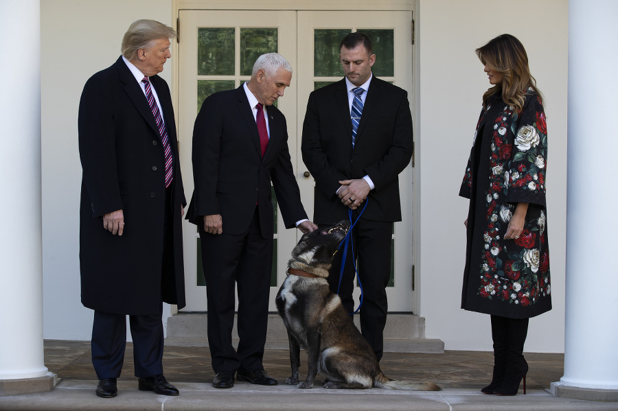 Trump označil psíka za