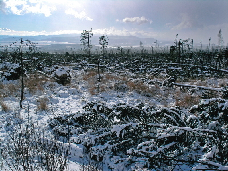 Takto spustošila Tatry ničivá