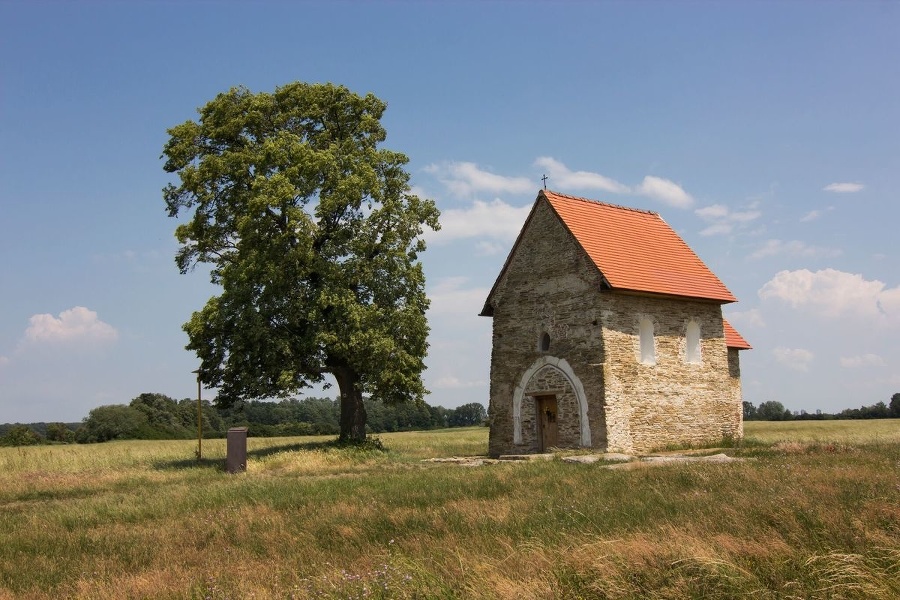 1. miesto: Lipa veľkolisá