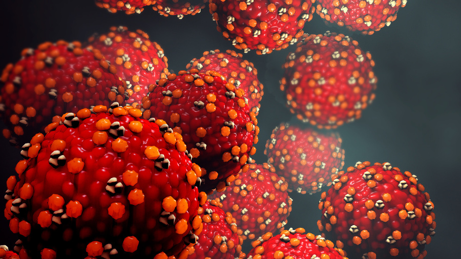 3d illustration Measles virus