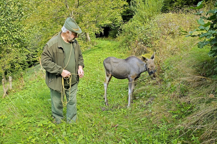 Malá Esty prišla ako