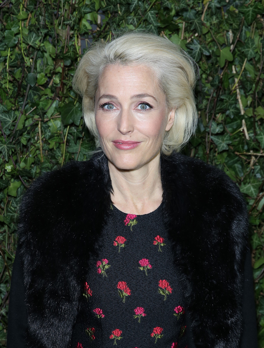 Herečka Gillian Anderson