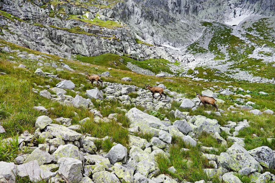 TATRY: Pôdu zrejme ochladzuje