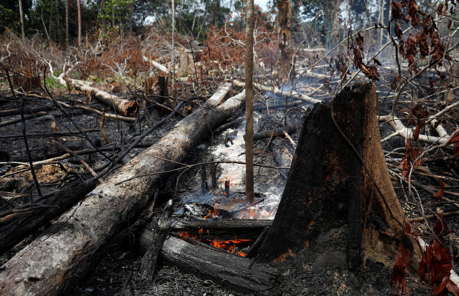Amazonský prales pustošia ničivé