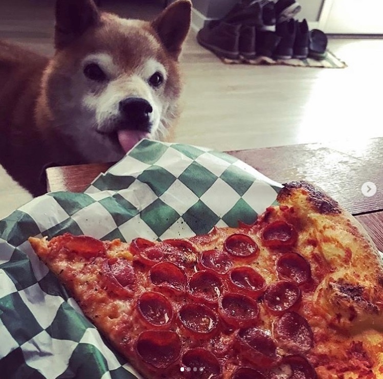 Chester pizzu miluje. 