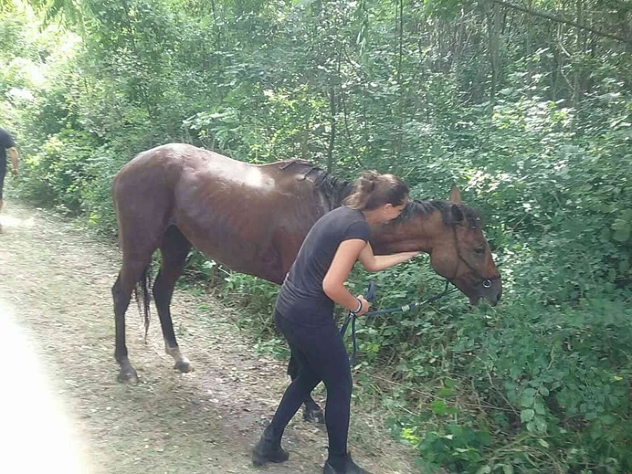 Hasiči pomocou lana vyťahovali