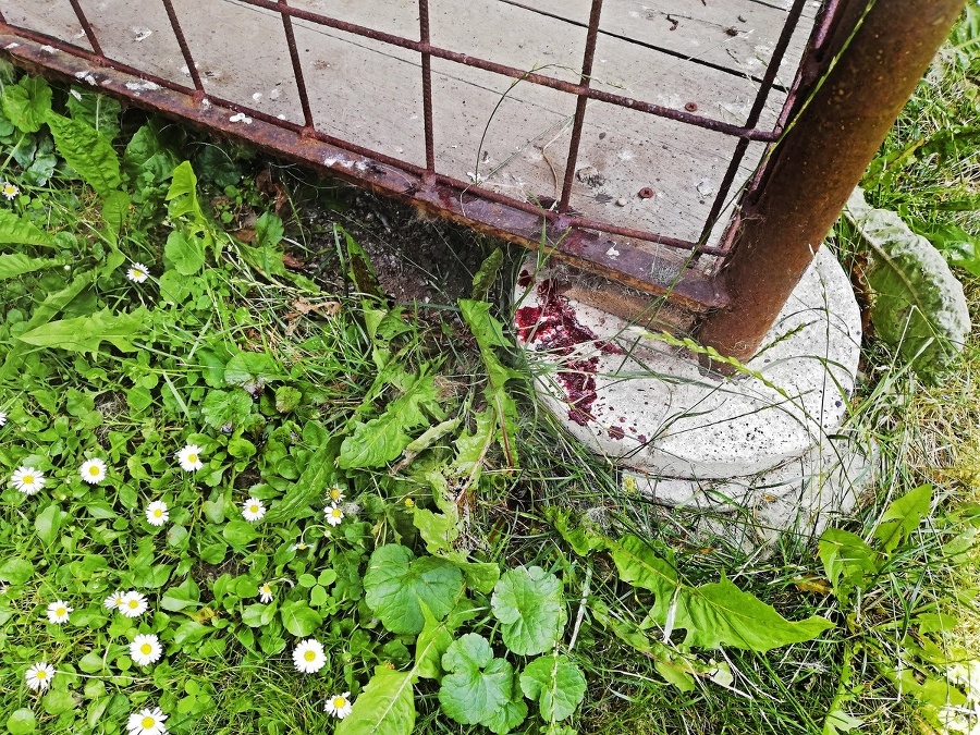 Na tomto mieste našla svokra poslanca v kaluži krvi.