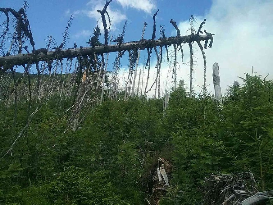 V okrese Brezno vypukol