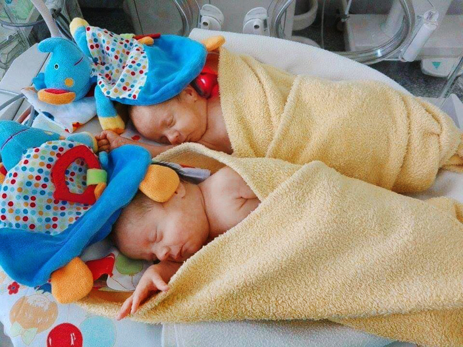 Po narodení strávili obaja súrodenci niekoľko mesiacov na JIS-ke.