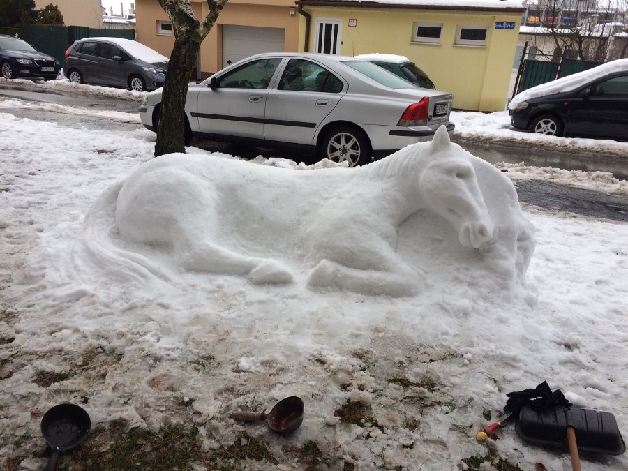 Svojho unikátneho snehuliaka postavil