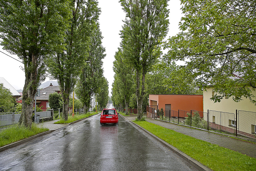 Statný chlpáč futašoval po