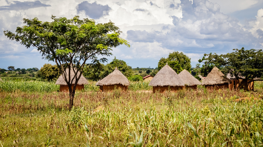 Typical Uganda huts. Most