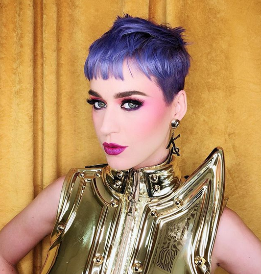 Speváčka Katy Perry