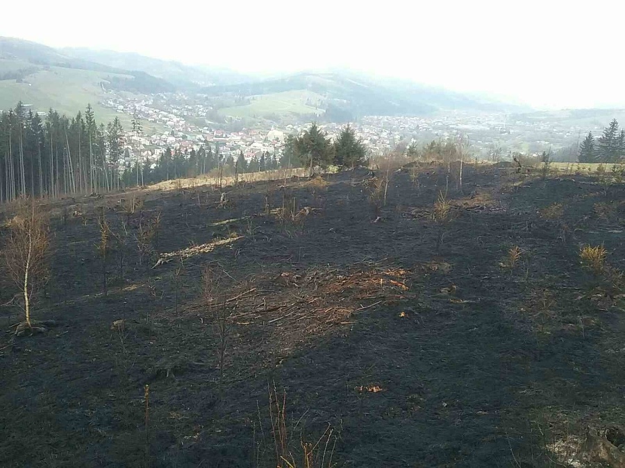 Rozsiahly požiar lesného porastu