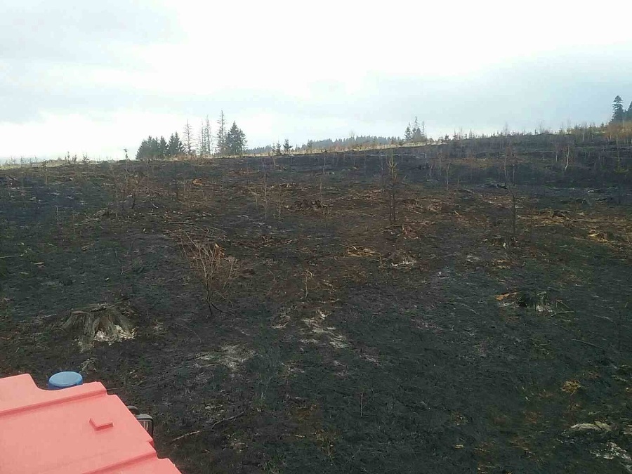 Rozsiahly požiar lesného porastu