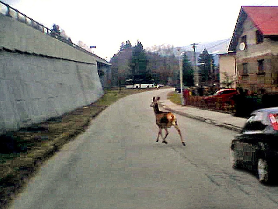 Neskôr zišla na cestu