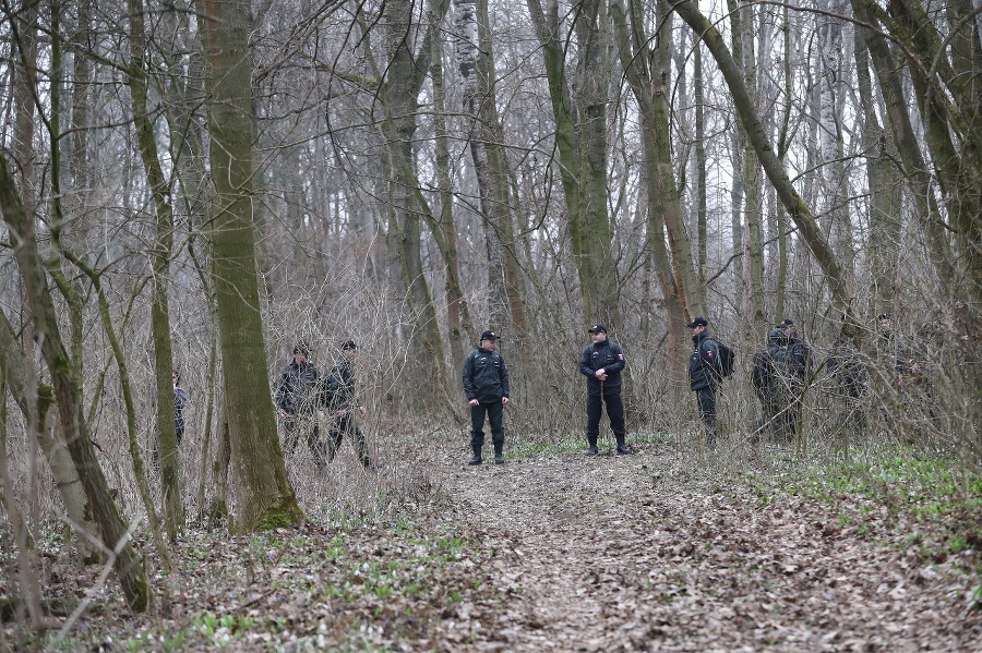 Polícia prehľadáva les vo Veľkej Mači. 