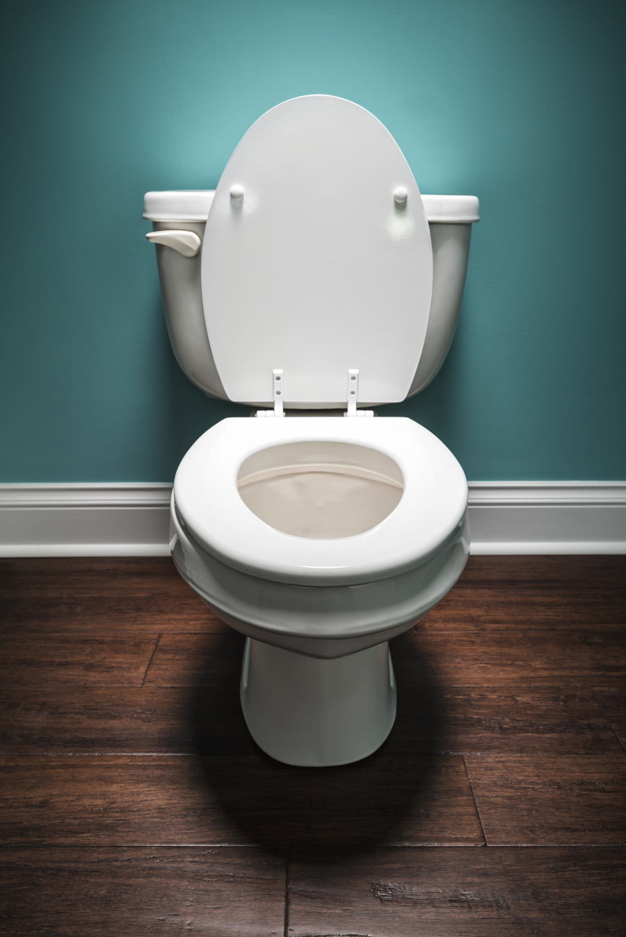 A elongated white toilet