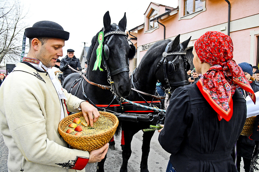 Jazda na koňoch 