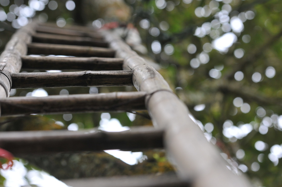 Wooden ladder lean against