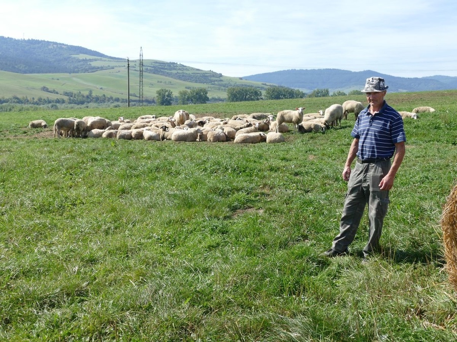 Bača Marcel István (50)