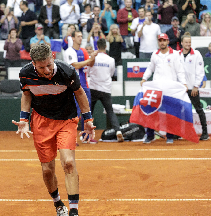 Davis Cup Slovensko- Bielorusko.