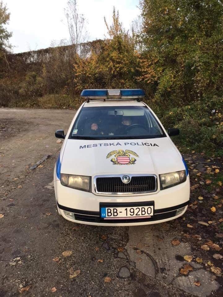 Policajti v uniformách sladko