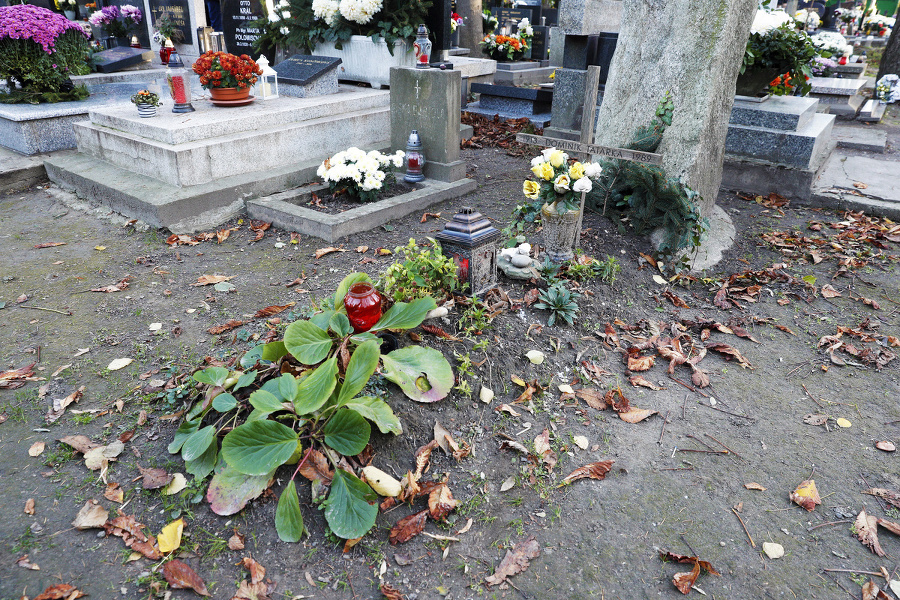 Dominik Tatarka, Martinský cintorín.
