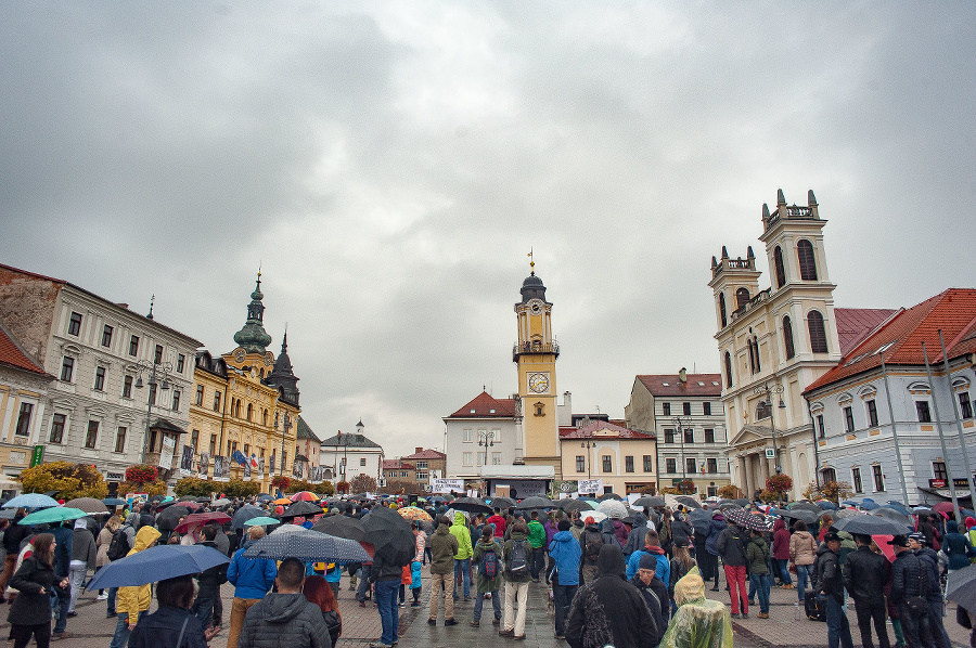 Účastníci verejného protestu za