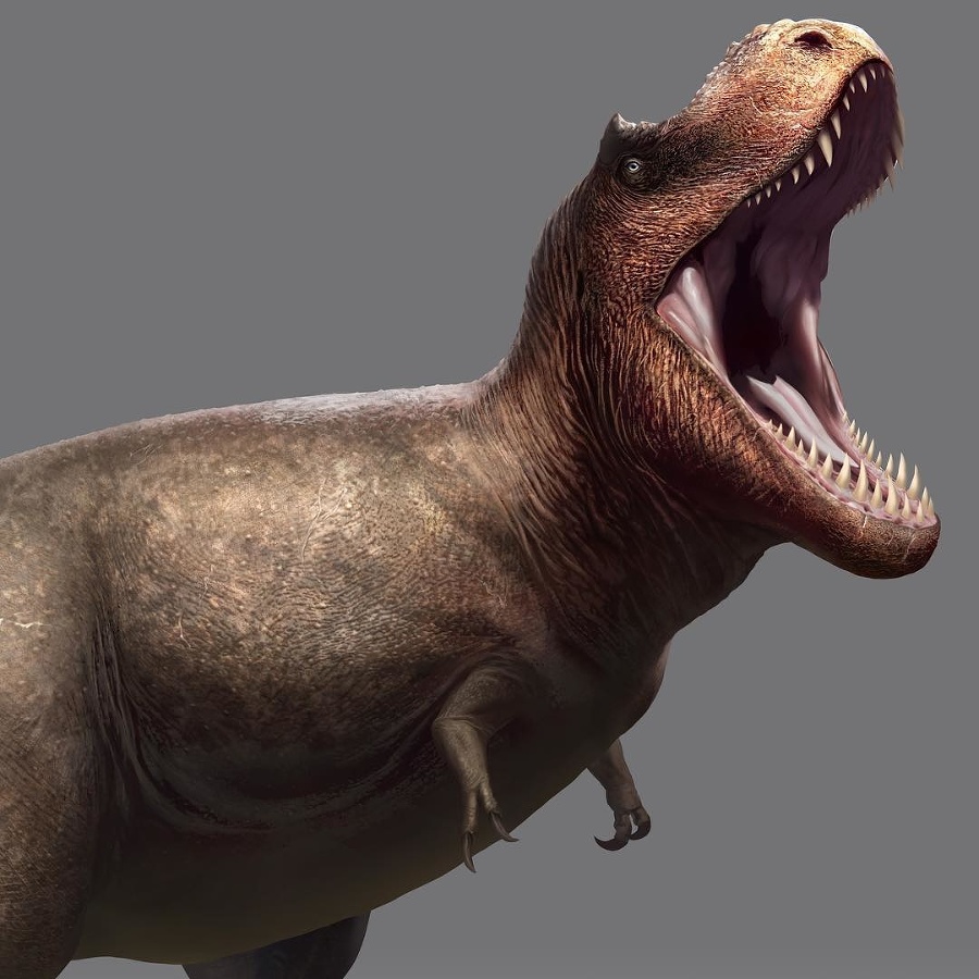 Tyranosaurus Rex.