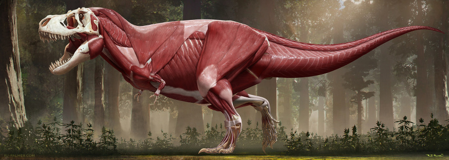 Tyranosaurus Rex.