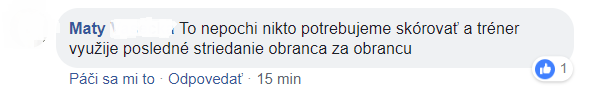 Kritika slovenských fanúšikov po