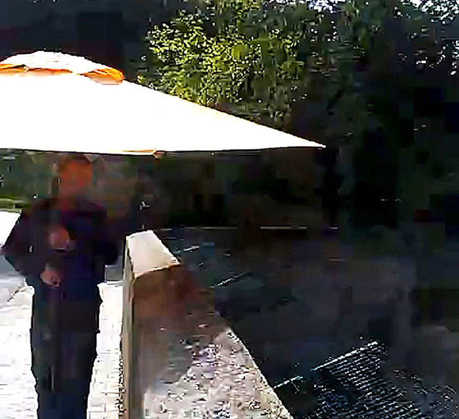 Strašili medveďov slnečníkom.