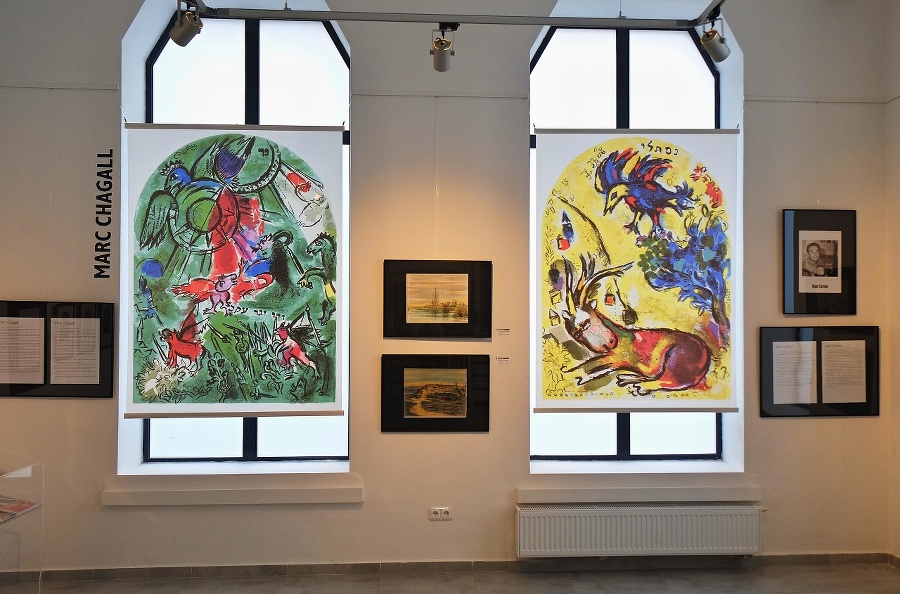 Diela Marca Chagalla