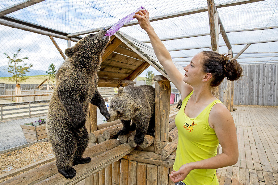 10. Zoo Kontakt: Zvieratka