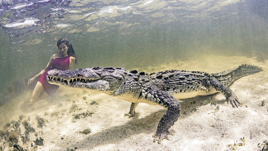 S krokodílmi pózovala fotografova
