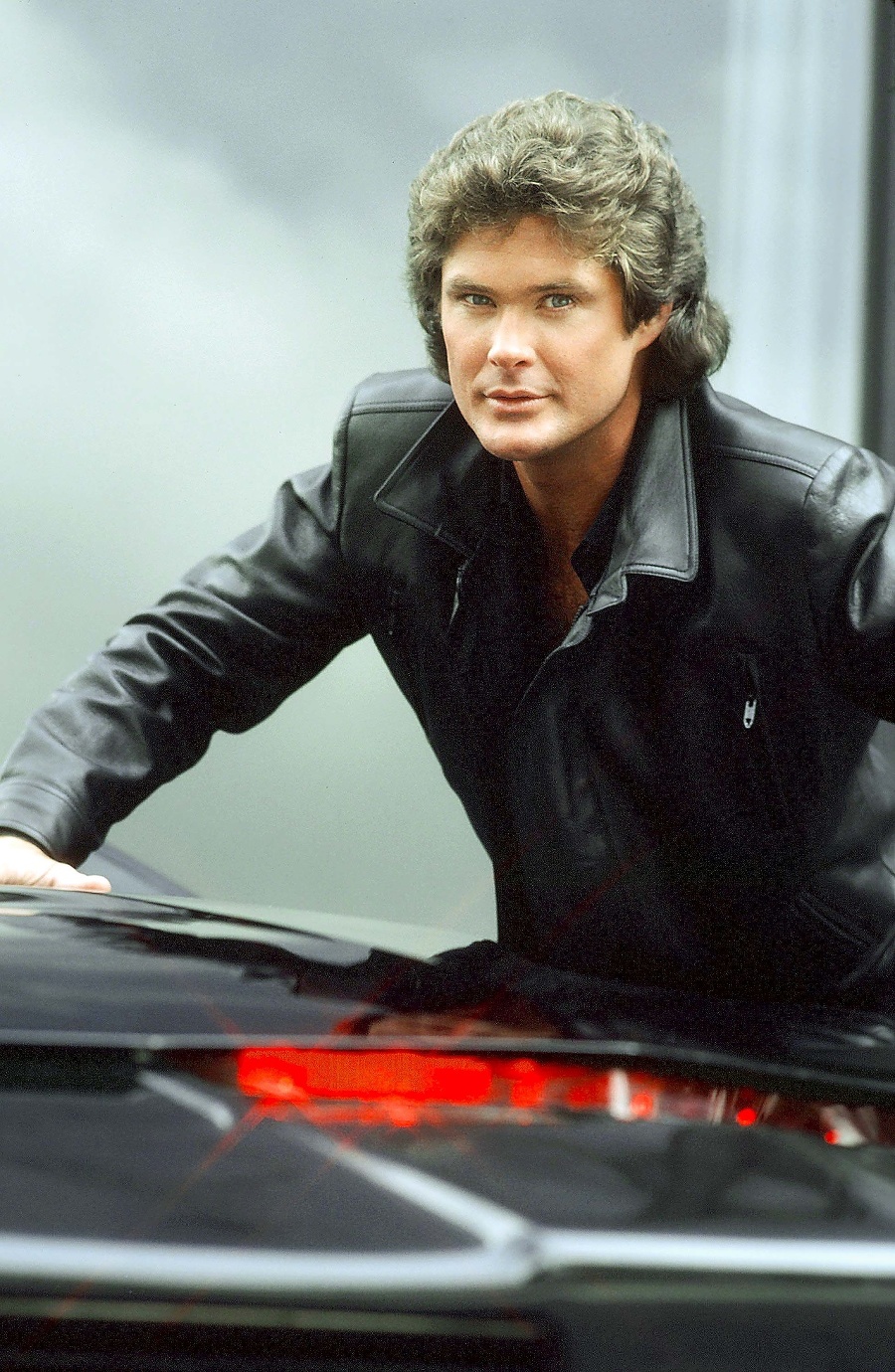 David Hasselhoff v seriáli