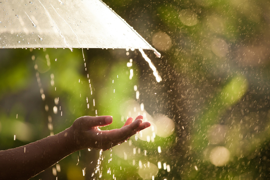 Woman hand with umbrella