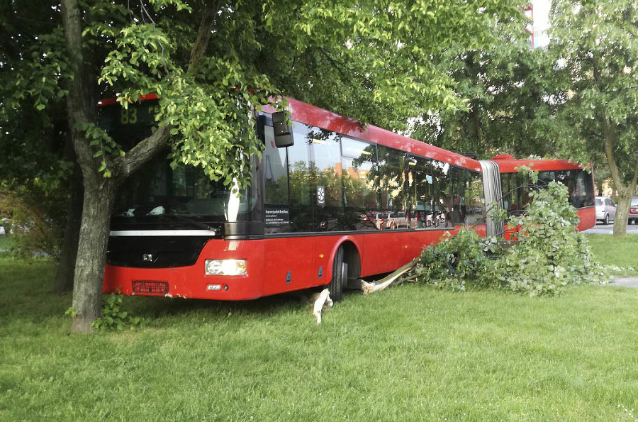 Autobus zastavili až stromy.